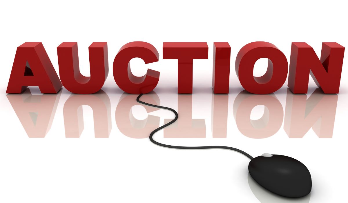 Online auction fraud